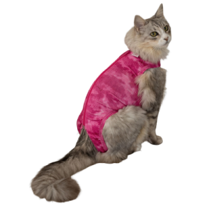 Body Cirurgico Gato Tamanho O