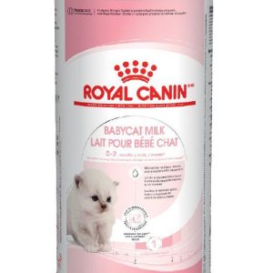 Leite gato Royal Canin 0.3Kg